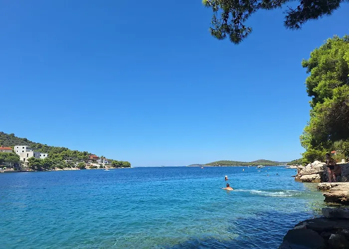 Vila Leylandii Rogoznica *